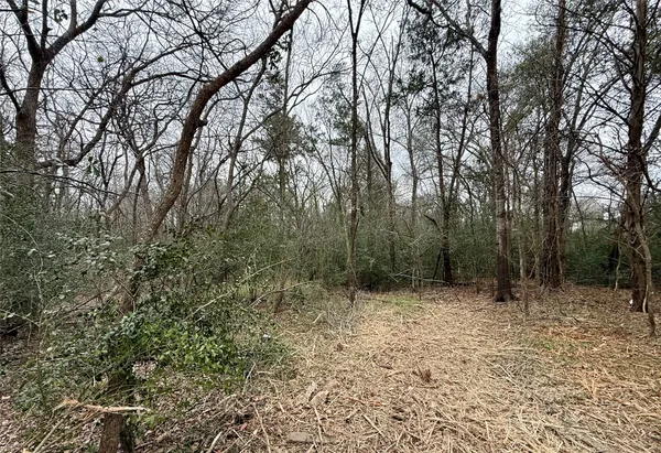 a view of outdoor space