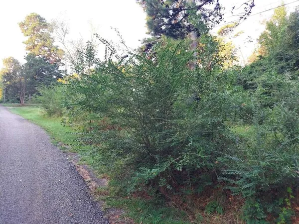 $45,589 | 0 Pearson Street, Avinger, TX 75630