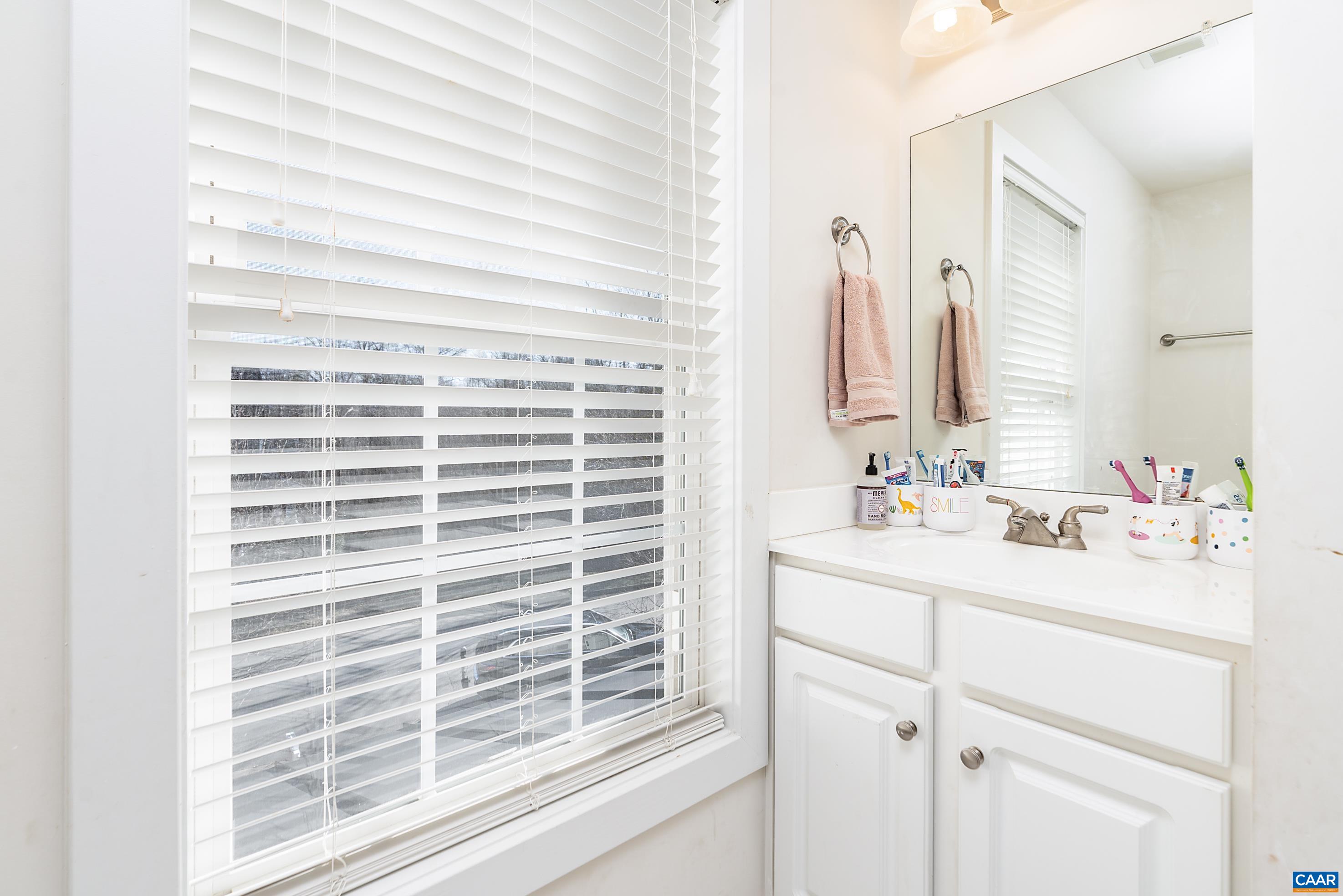 5478 Park Road Crozet, VA 22932 - Photo 16 of 24 a bathroom with a sink and a mirror