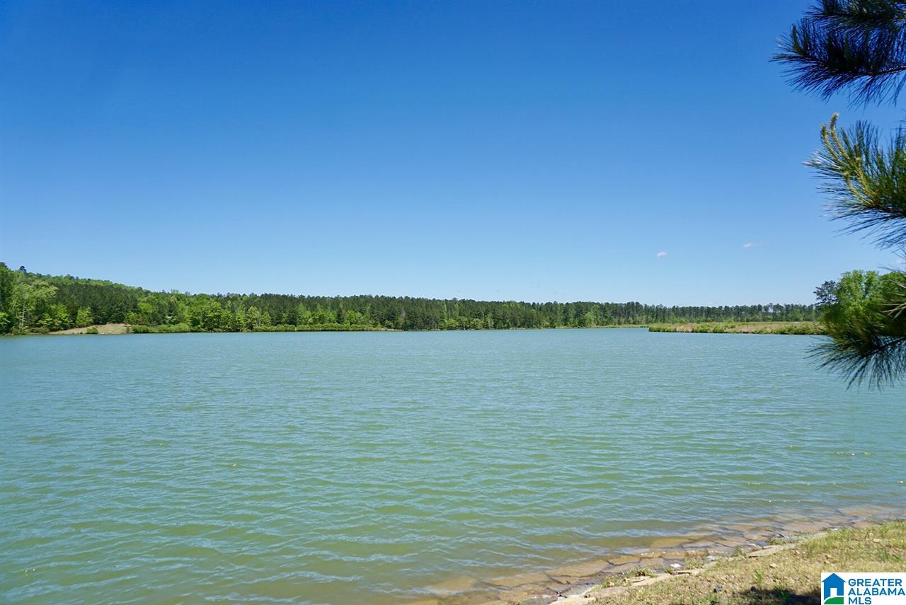 Saunders Bridge Road, Unit 24 Sterrett, AL 35147 - Photo 2 of 9 Gallery Image 2