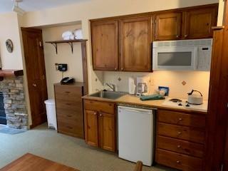 257 7 Rimfire Road Snowshoe, WV 26209 - Photo 2 of 11 Gallery Image 2