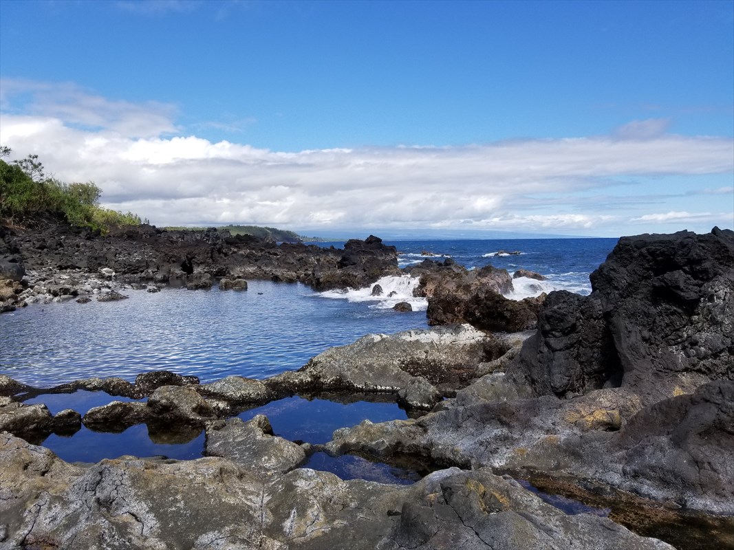 1 Government Beach Road Pahoa, HI 96778 - Photo 1 of 18 Gallery Image 1