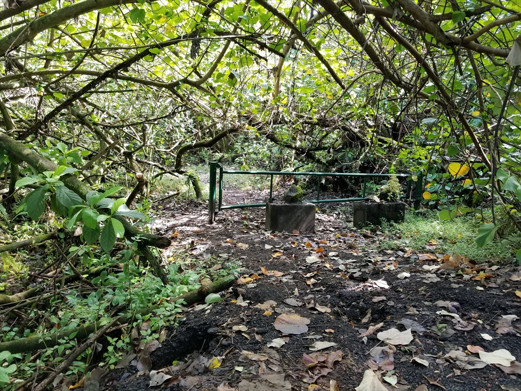 1 Government Beach Road Pahoa, HI 96778 - Photo 14 of 18 Gallery Image 14