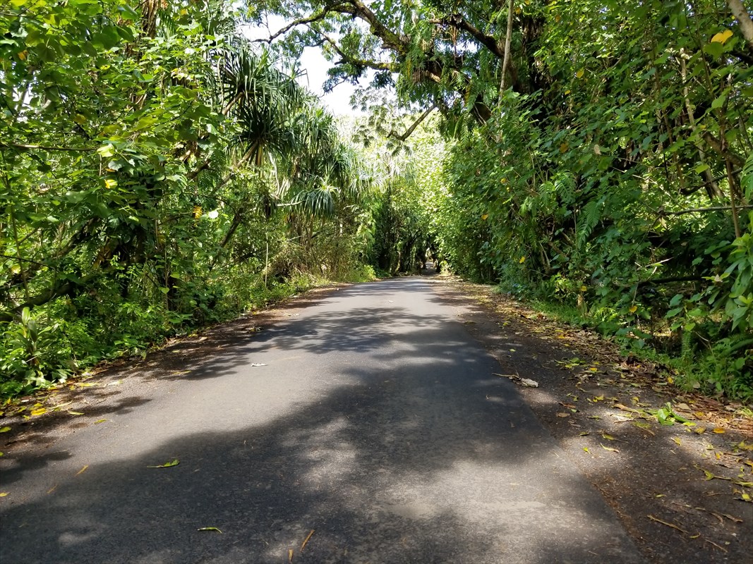 1 Government Beach Road Pahoa, HI 96778 - Photo 15 of 18 Gallery Image 15