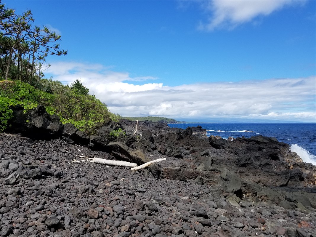 1 Government Beach Road Pahoa, HI 96778 - Photo 5 of 18 Gallery Image 5