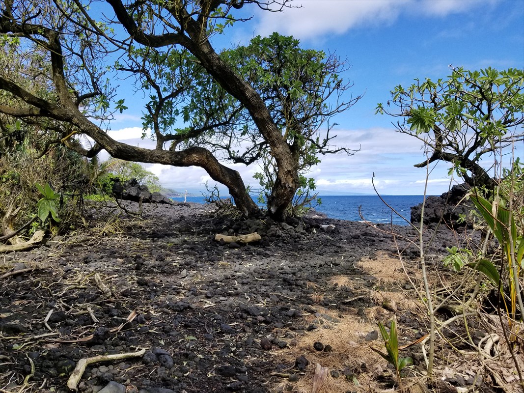 1 Government Beach Road Pahoa, HI 96778 - Photo 6 of 18 Gallery Image 6
