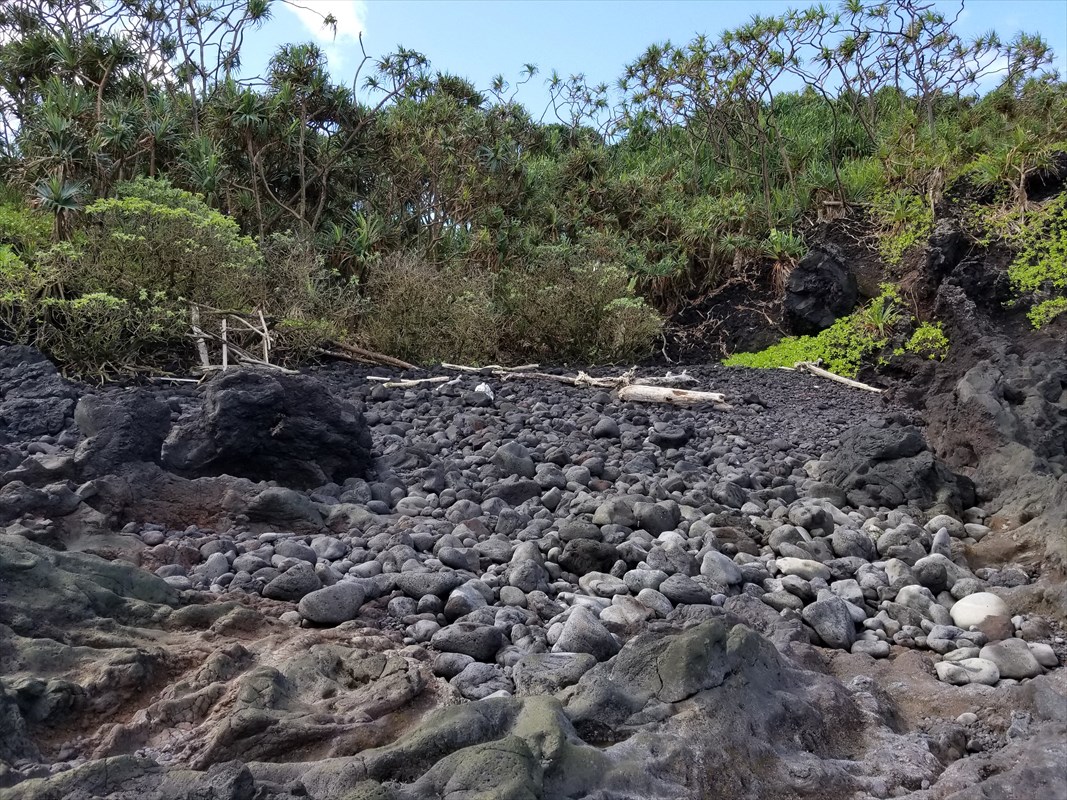 1 Government Beach Road Pahoa, HI 96778 - Photo 8 of 18 Gallery Image 8