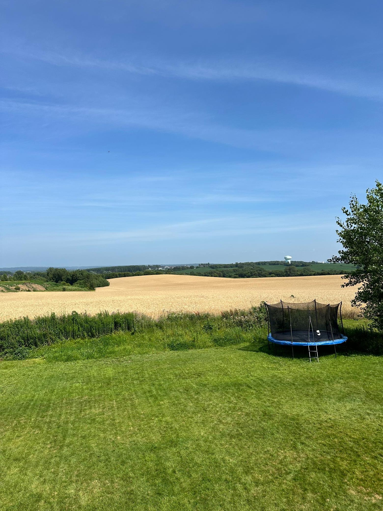 4718 Alan Lane Northwest Rochester, MN 55901 - Photo 29 of 29