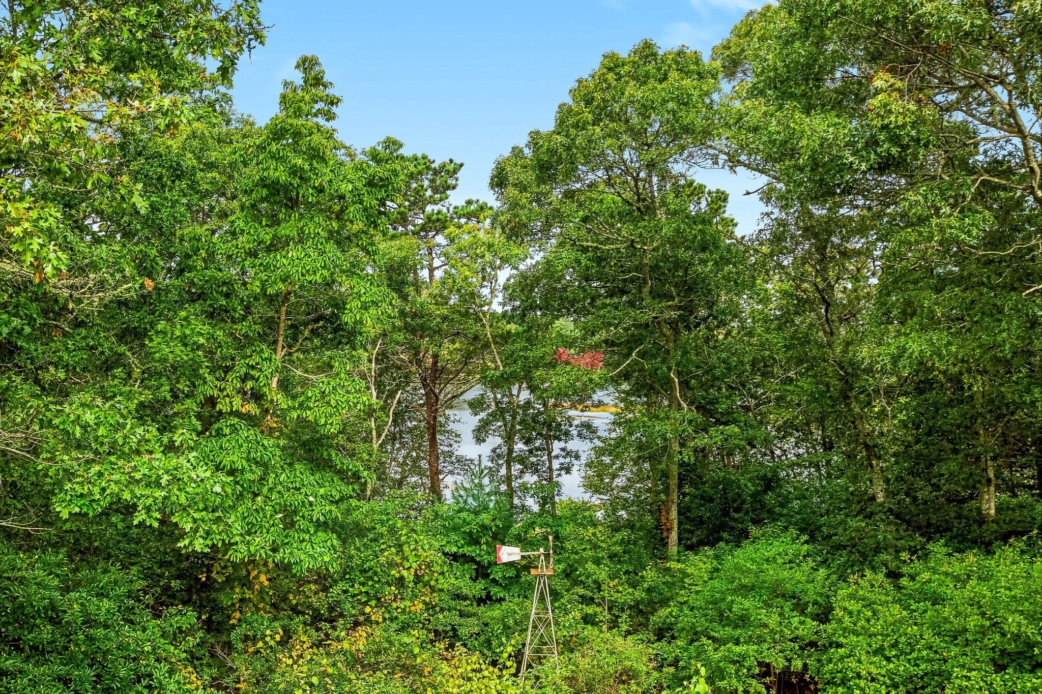 155 Damon Road Brewster, MA 02631 - Photo 38 of 41 Gallery Image 38