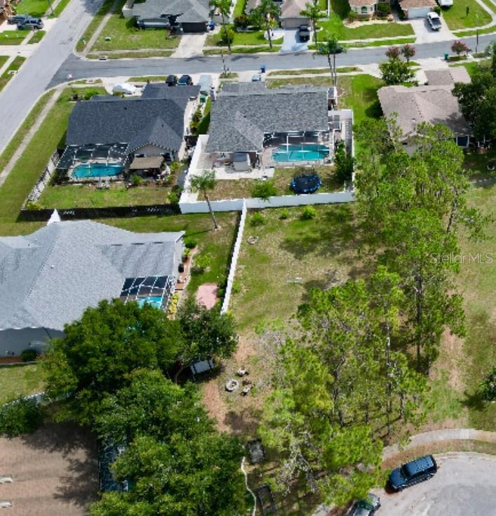 5142 La Plata Drive New Port Richey, FL 34655 - Photo 6 of 6