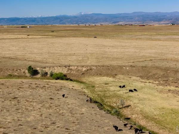 $325,000 | 4 Cr 82 Wellington Co 80549, Carr, CO 80612