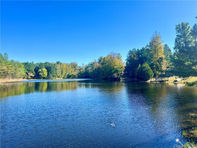 a view of a trees with a yard