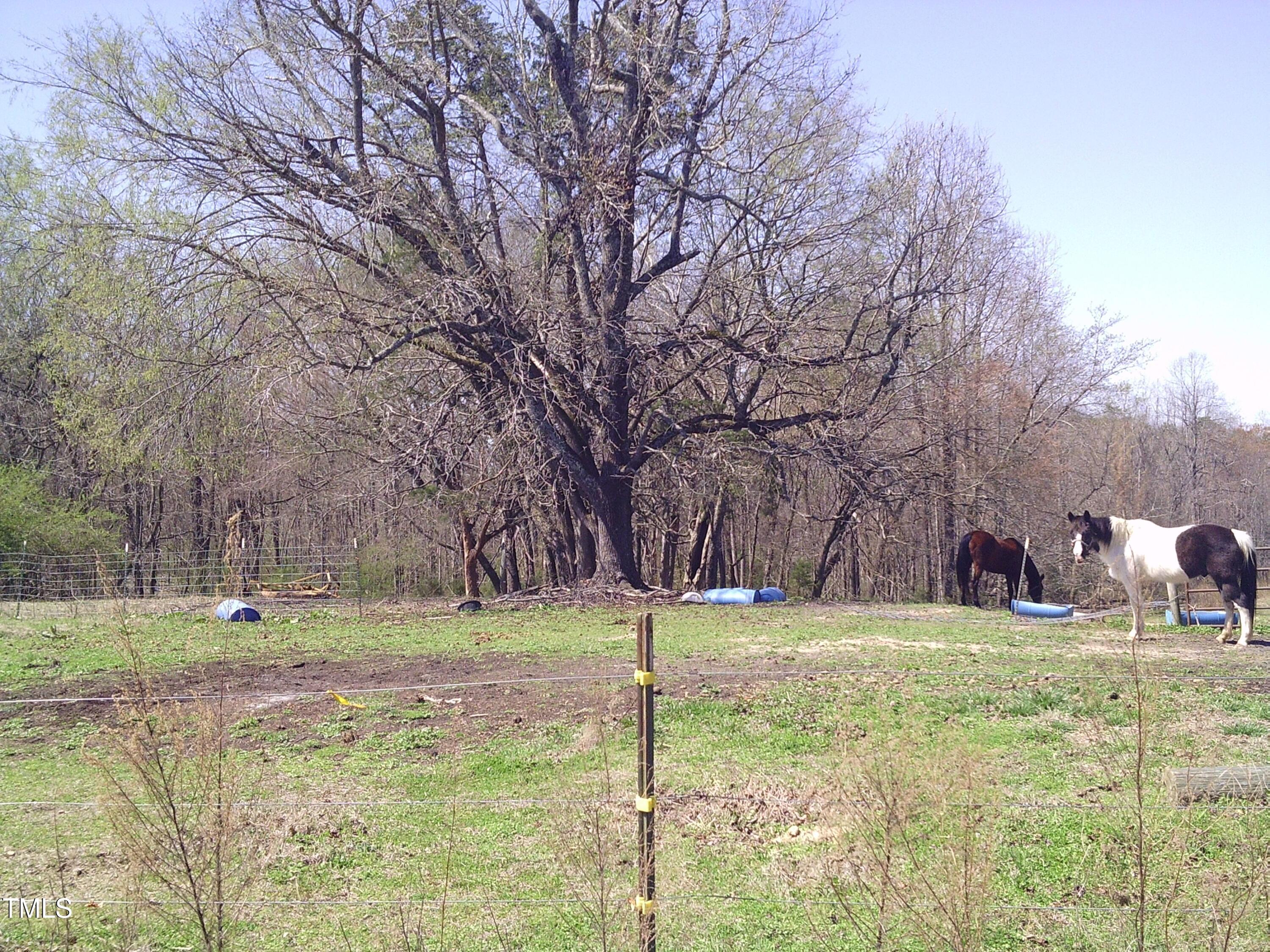 0 Barker Road Henderson, NC 27537 - Photo 2 of 12 002