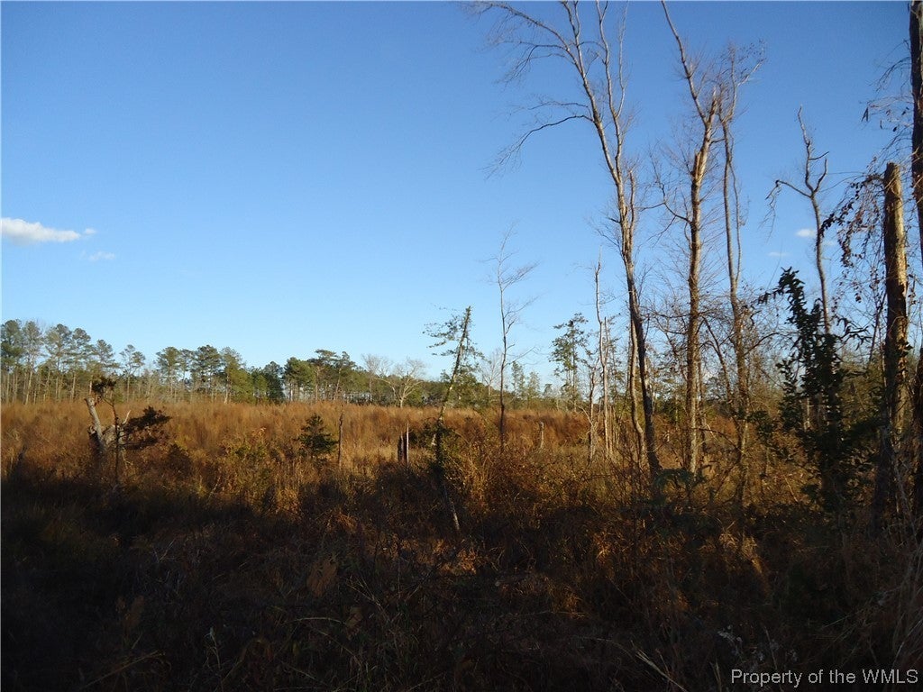 6.9-ac Colonial Trail West Dendron, VA 23839 - Photo 14 of 23 Gallery Image 14