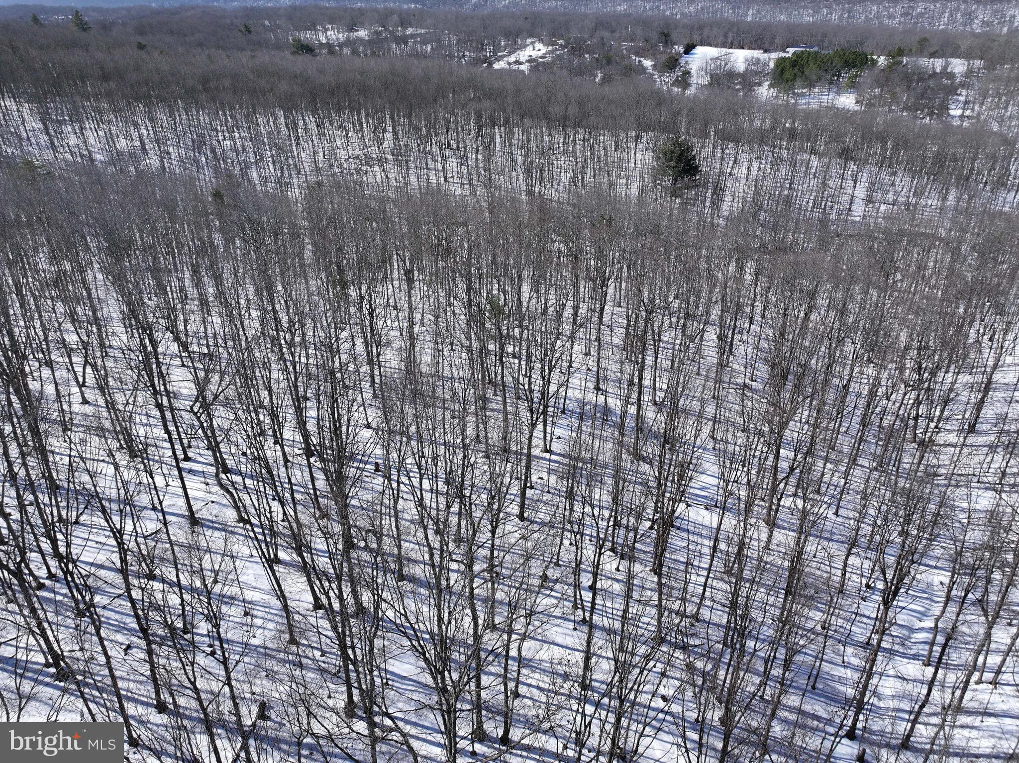 3402 Elk Lick Road Everett, PA 15537 - Photo 61 of 80