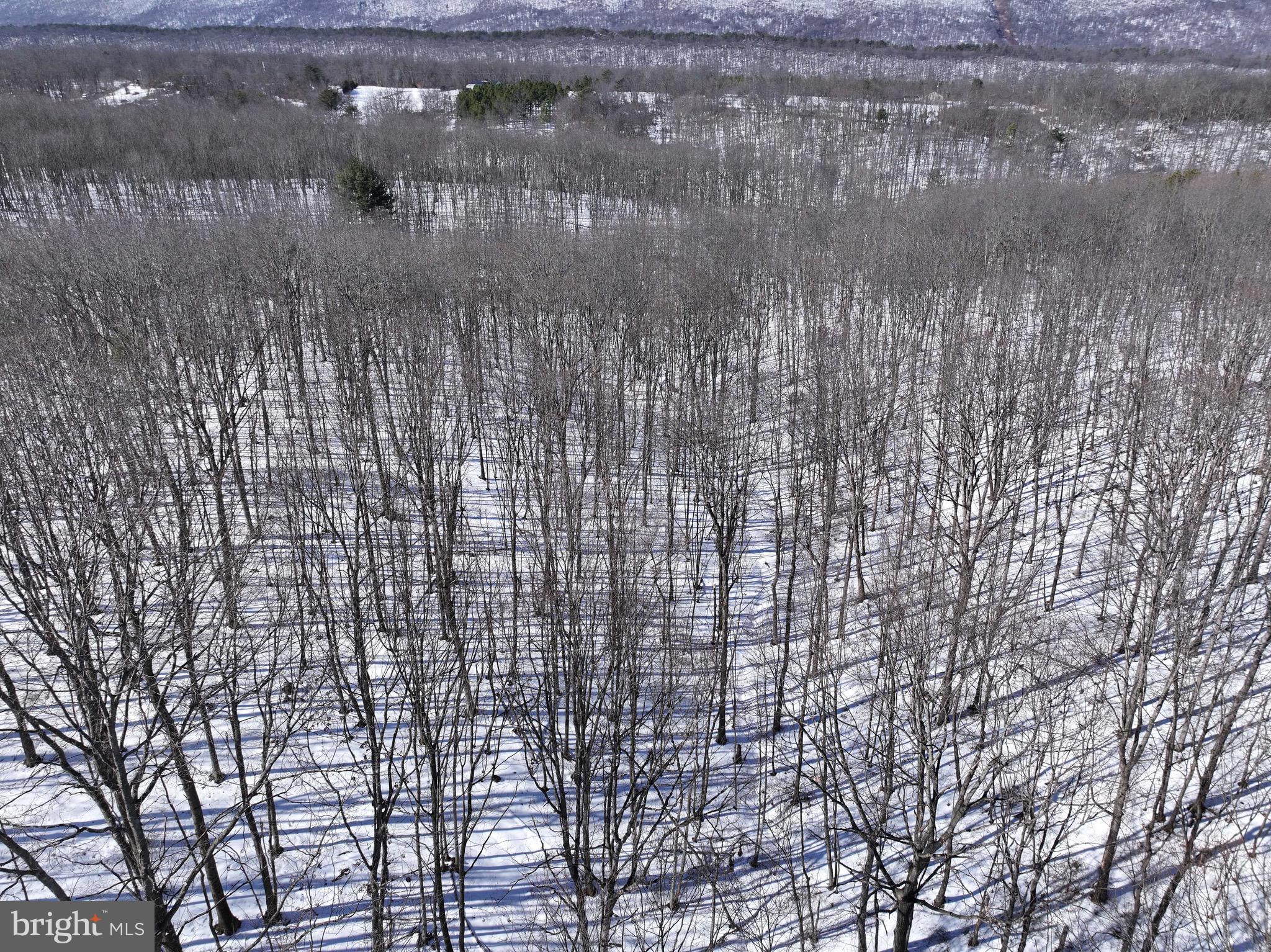 3402 Elk Lick Road Everett, PA 15537 - Photo 62 of 80