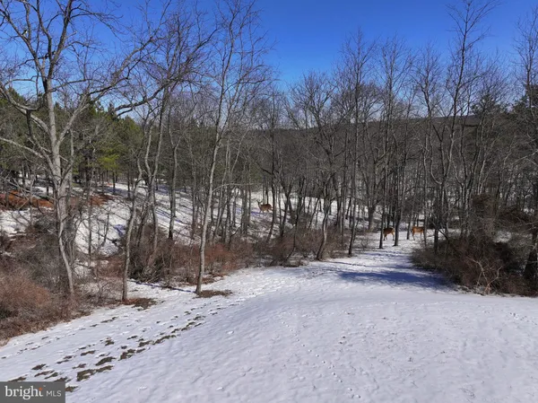 $648,800 | 3402 Elk Lick Road, Everett, PA 15537