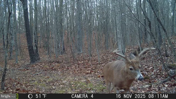 $648,800 | 3402 Elk Lick Road, Everett, PA 15537