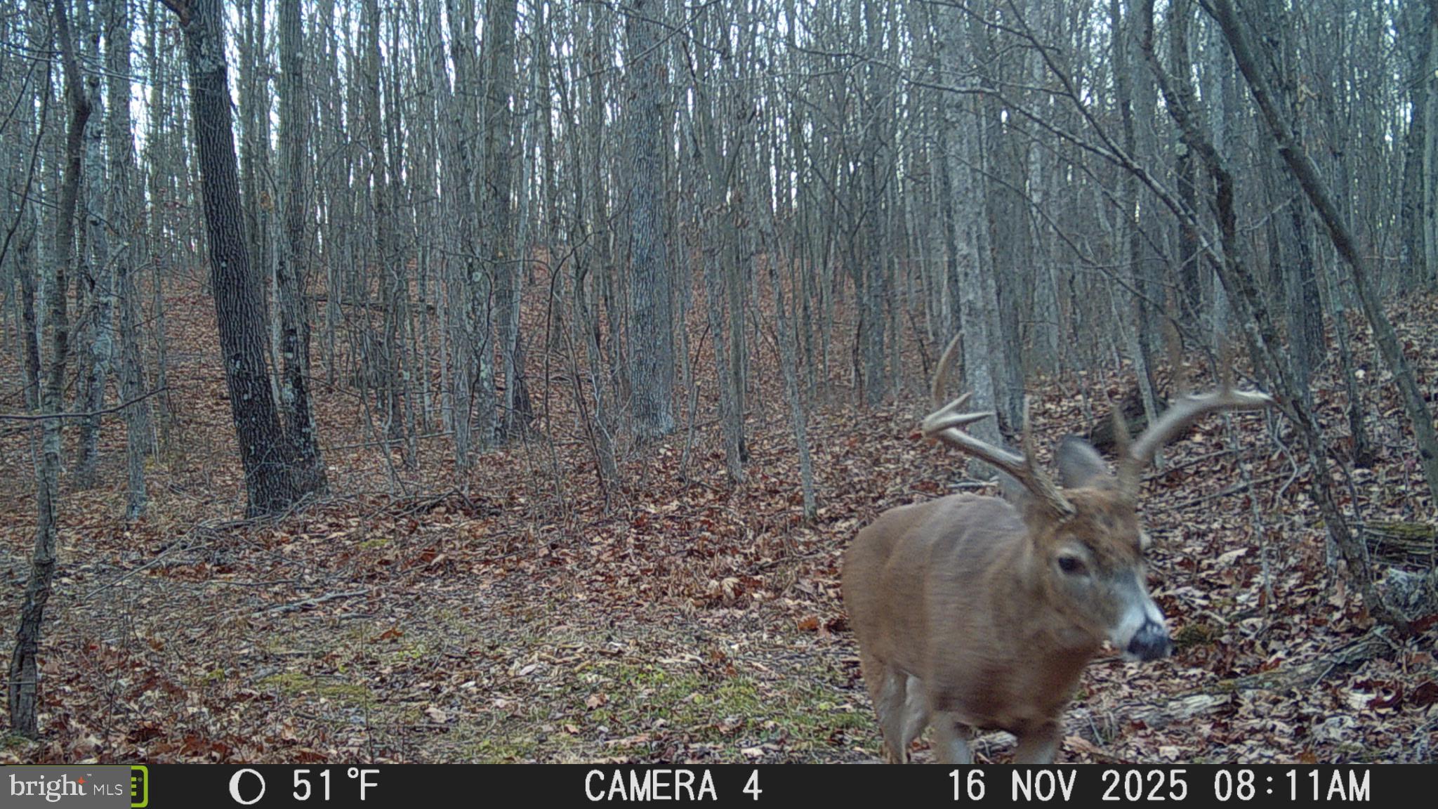 3402 Elk Lick Road Everett, PA 15537 - Photo 79 of 80