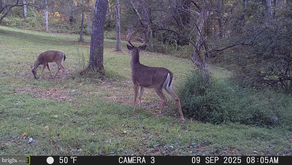 $648,800 | 3402 Elk Lick Road, Everett, PA 15537