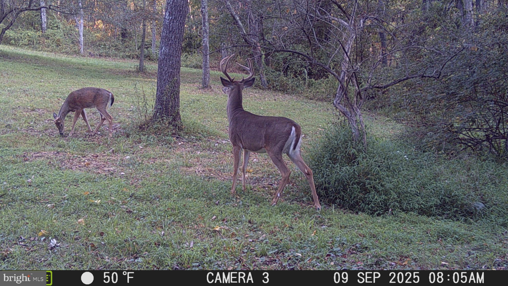 3402 Elk Lick Road Everett, PA 15537 - Photo 80 of 80