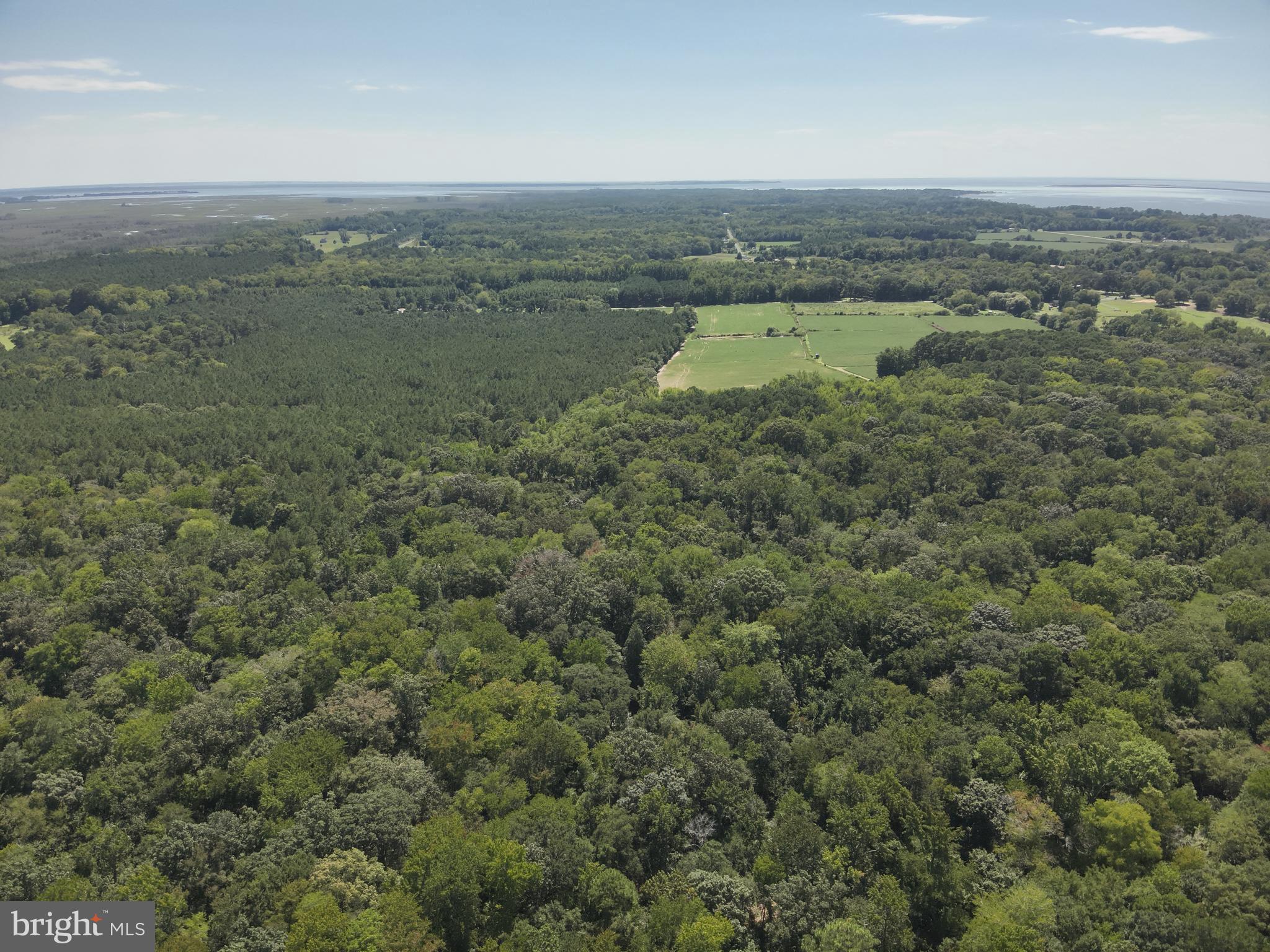 Jesterville Road Tyaskin, MD 21865 - Photo 12 of 37 Gallery Image 12