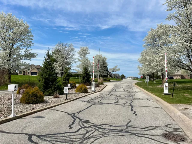 a view of a park with large trees