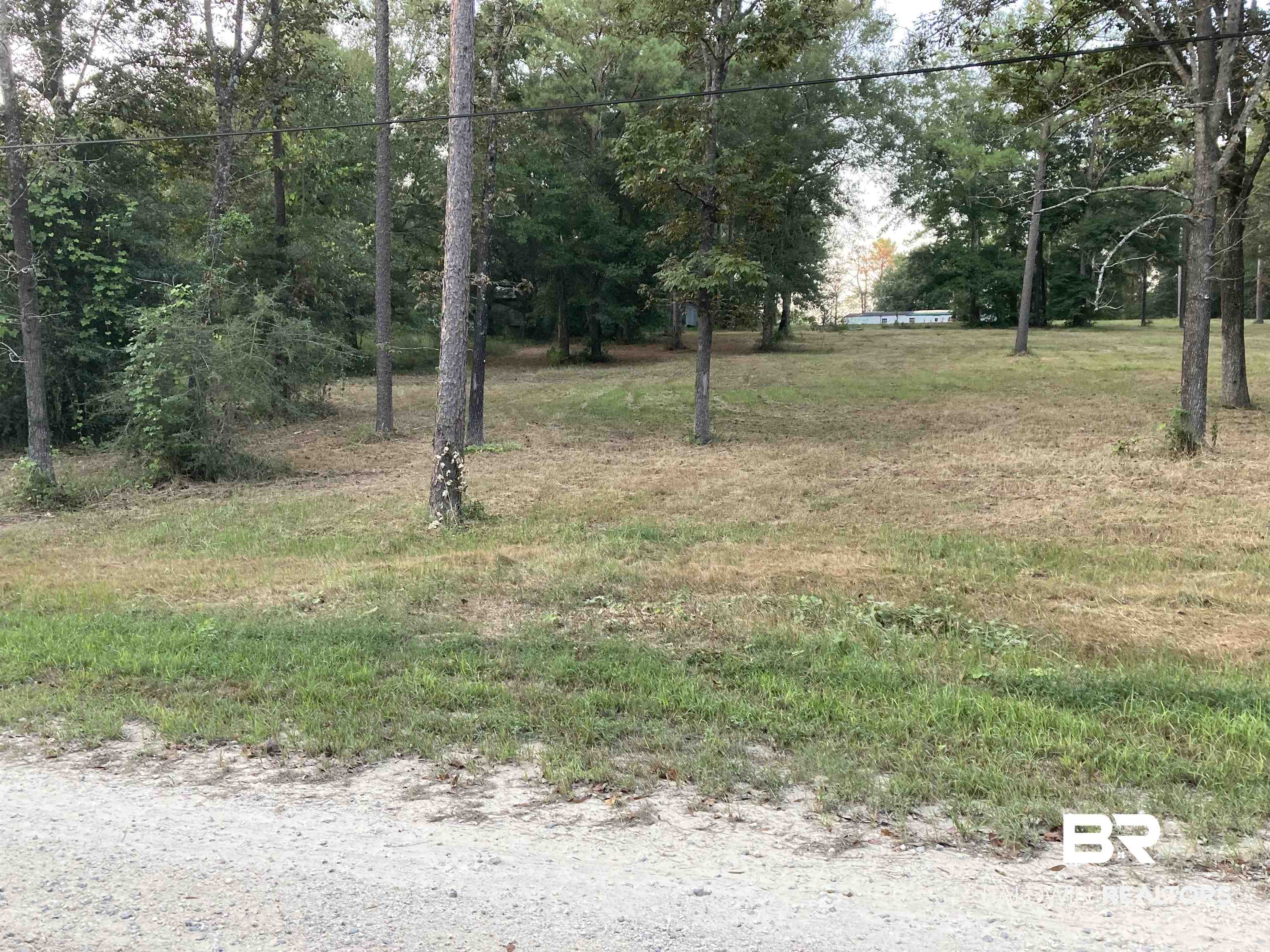 15400 Amazon Drive Wilmer, AL 36587 - Photo 1 of 6