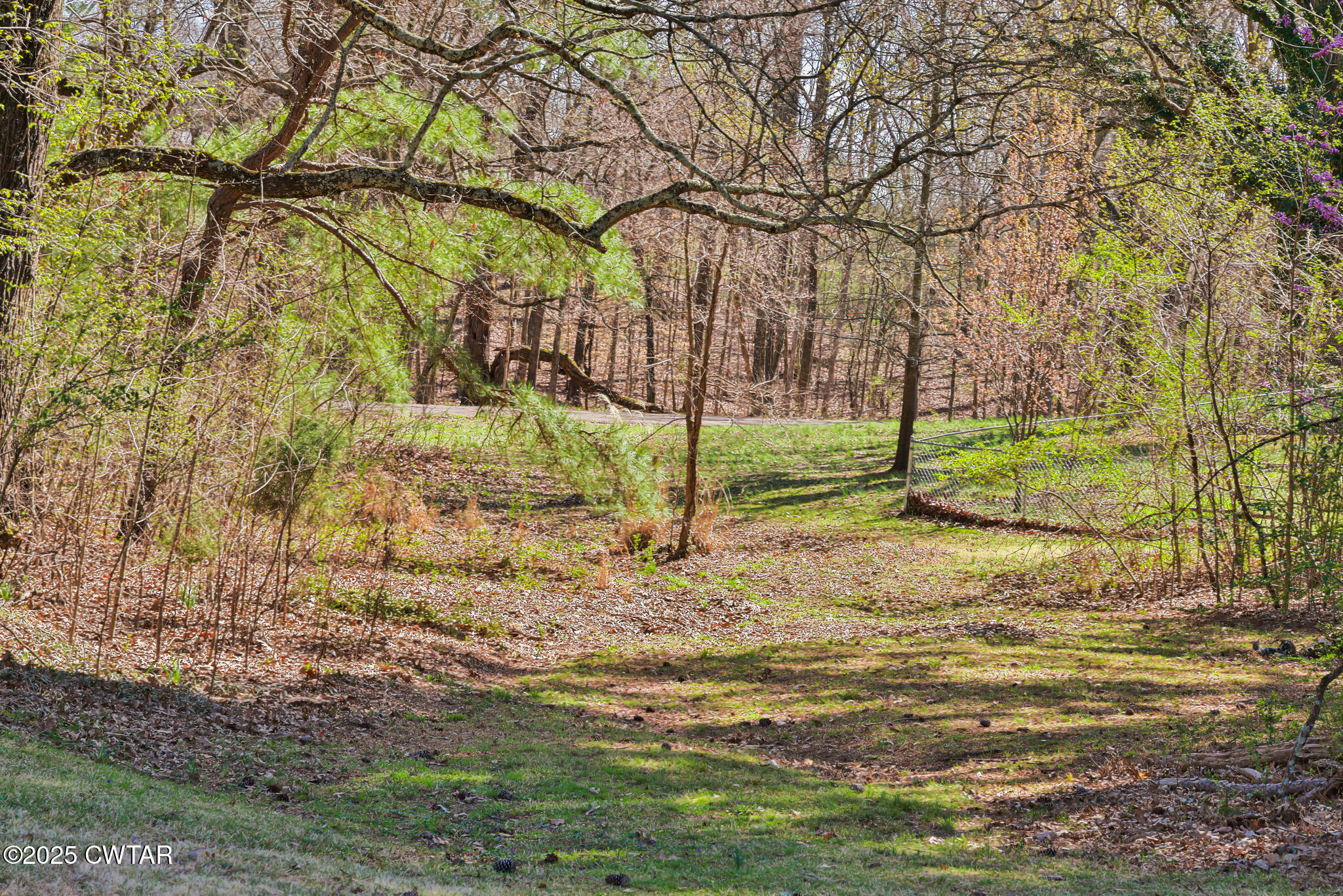 364 Ridgewood Drive Dresden, TN 38225 - Photo 34 of 35 FT8A2233