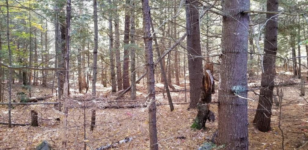 2 & Swan/taylor Road New Sharon, ME 04955 - Photo 8 of 24 Photo