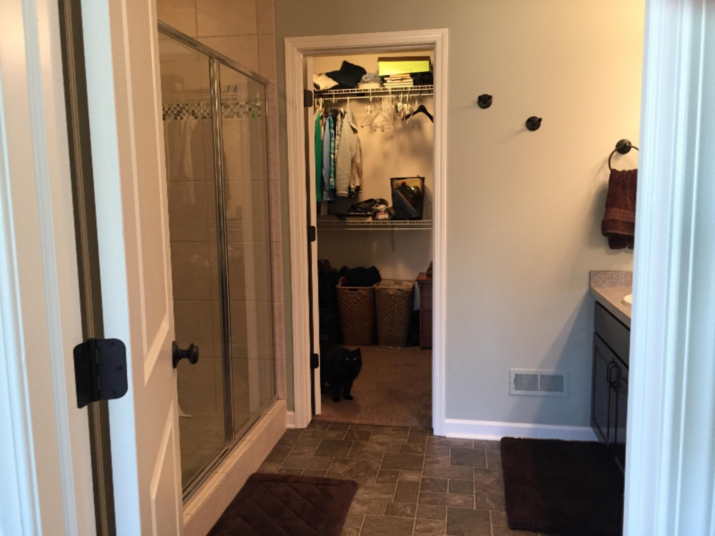 109 Rindle Bluff Portland, MI 48875 - Photo 21 of 29 Master Bath
