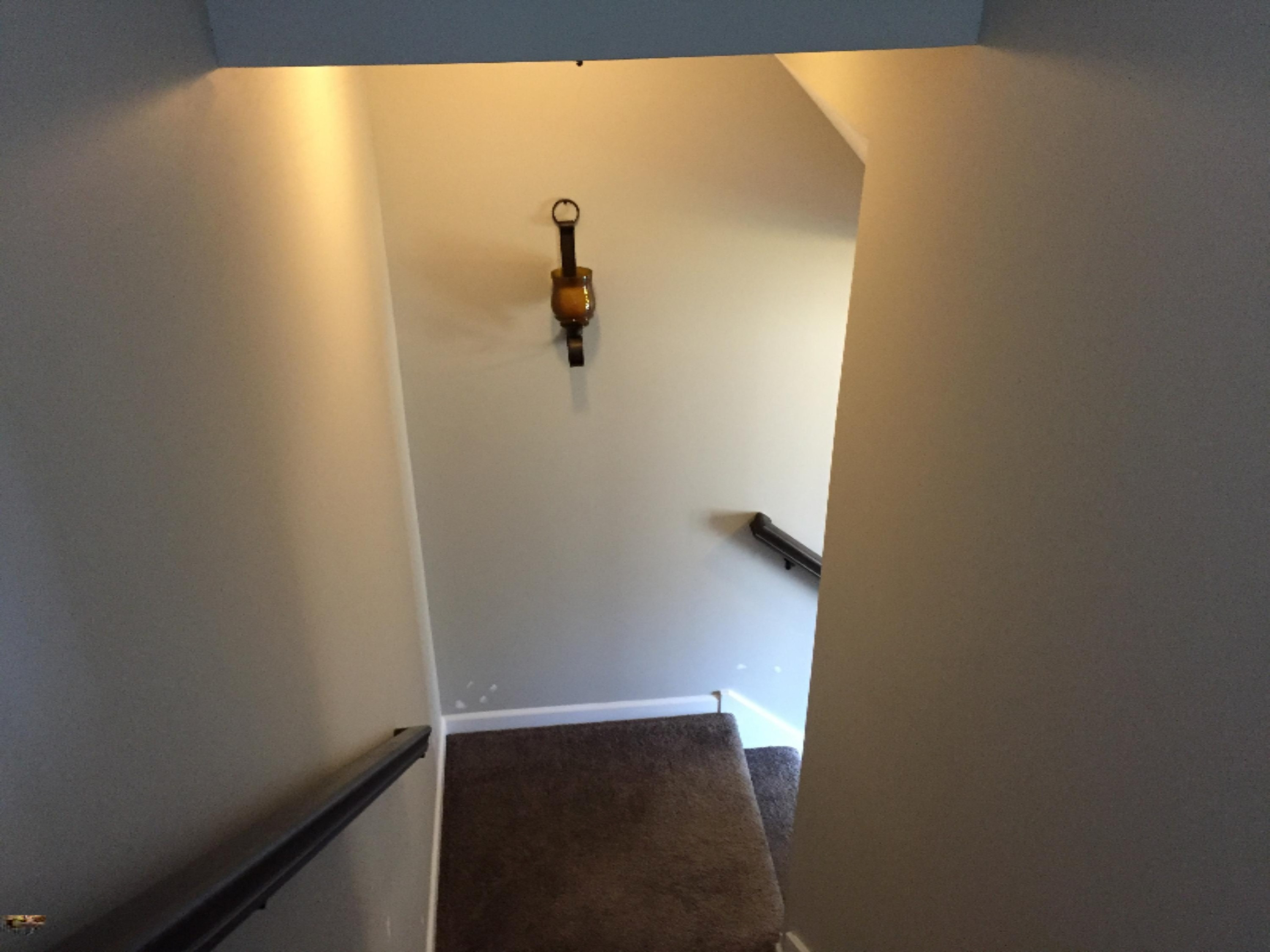 109 Rindle Bluff Portland, MI 48875 - Photo 25 of 29 Stairway