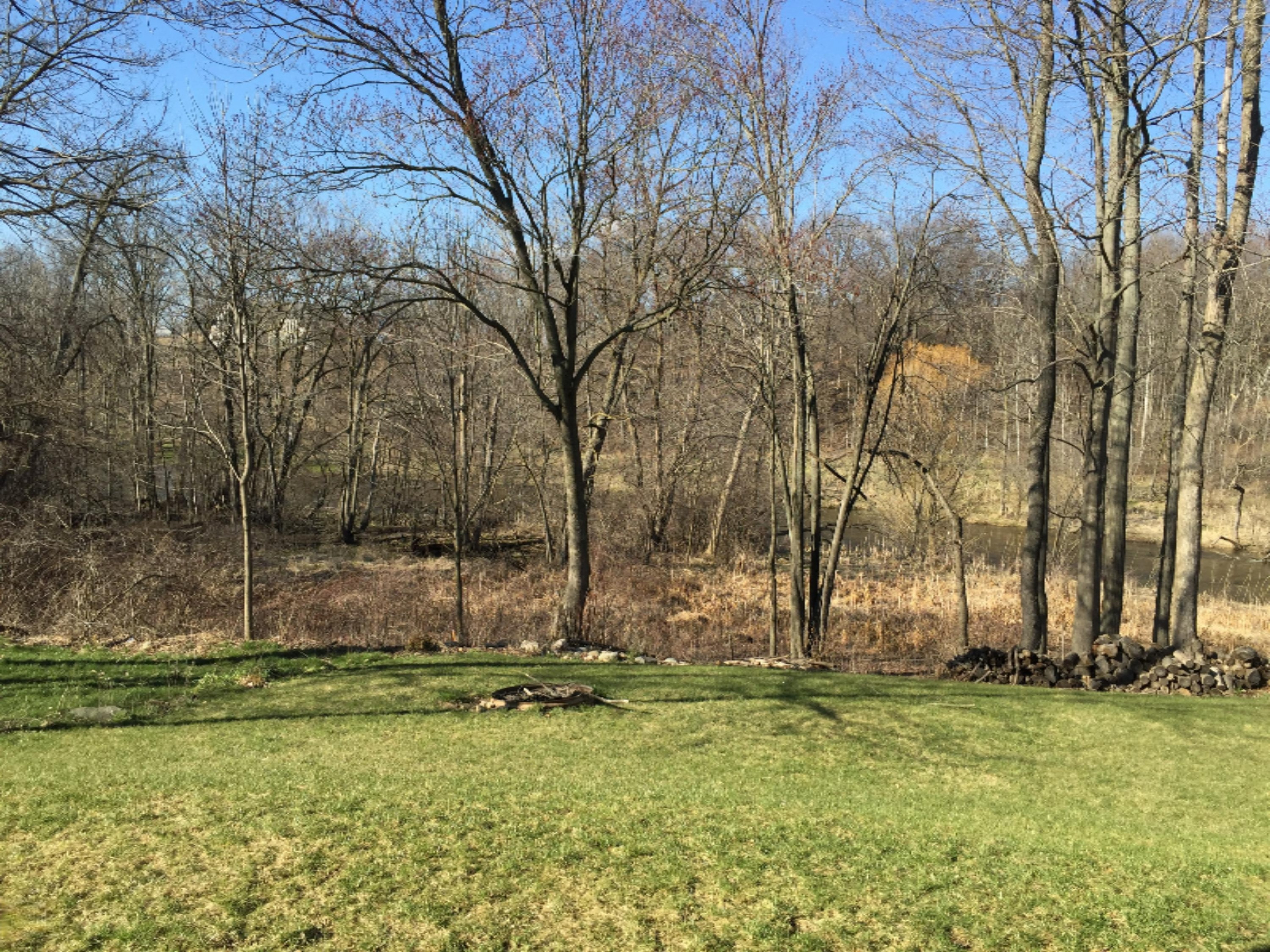 109 Rindle Bluff Portland, MI 48875 - Photo 26 of 29 View