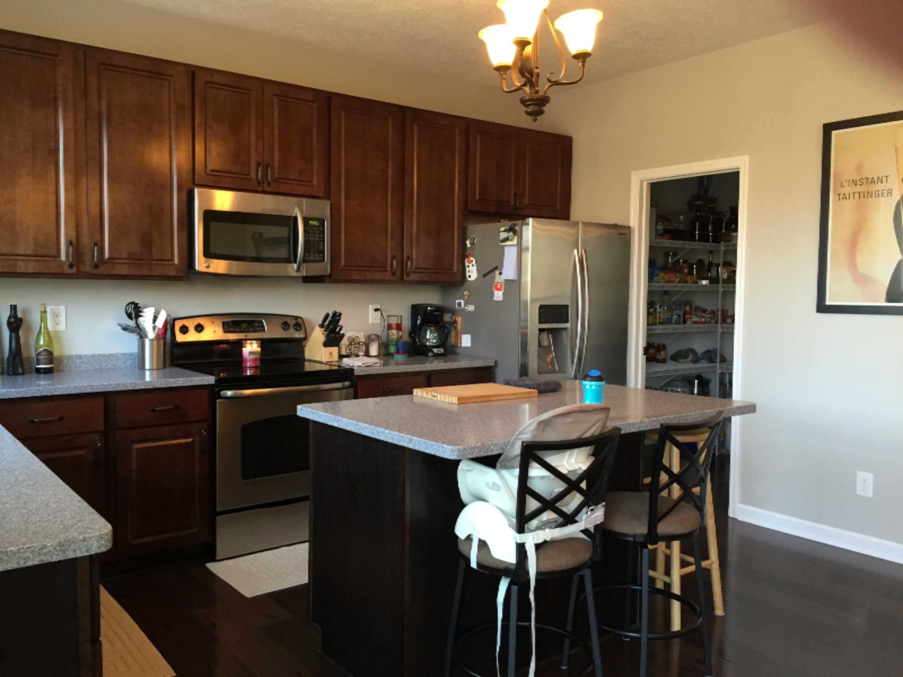 109 Rindle Bluff Portland, MI 48875 - Photo 5 of 29 Kitchen
