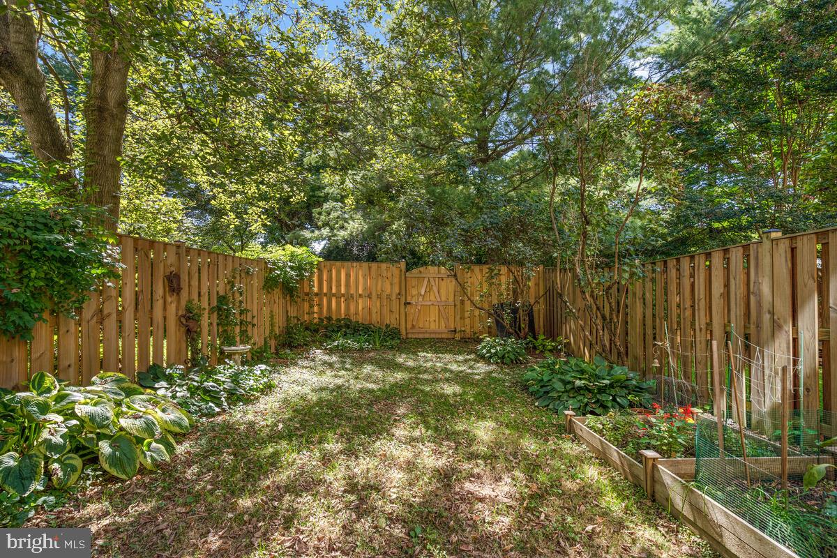 609 Sonata Way Silver Spring, MD 20901 - Photo 39 of 47 Backyard fully fenced