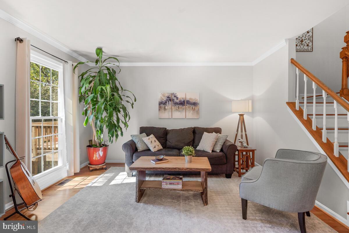 609 Sonata Way Silver Spring, MD 20901 - Photo 5 of 47 Bright Living Room