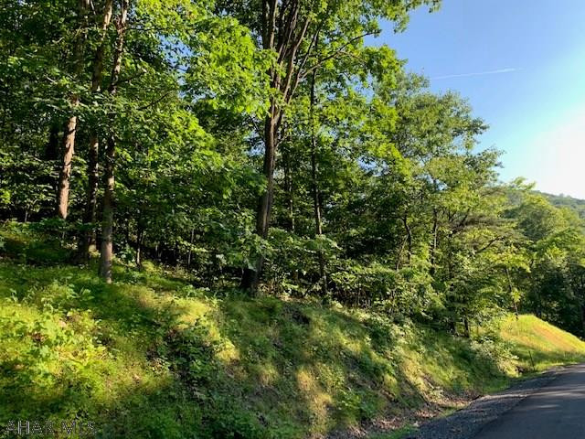 1009 A Six Mile Run Road Six Mile Run, PA 16679 - Photo 22 of 47 Gallery Image 22