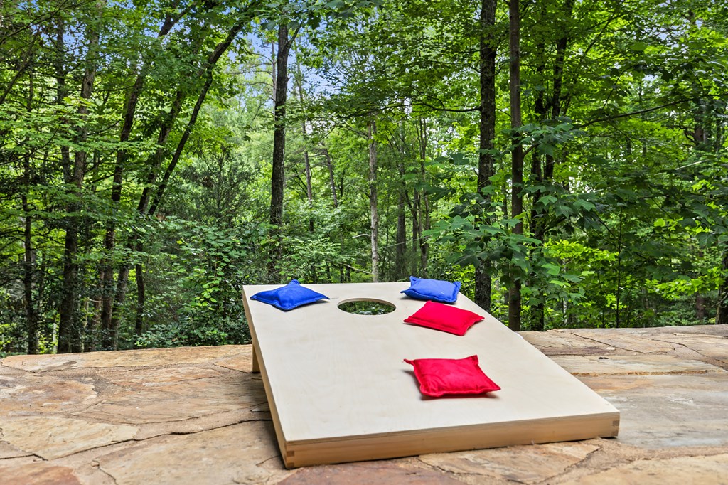 930 Power Dam Road Blue Ridge, GA 30513 - Photo 6 of 64 Gallery Image 6
