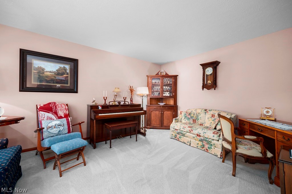 12620 Butler Road Wakeman, OH 44889 - Photo 3 of 50