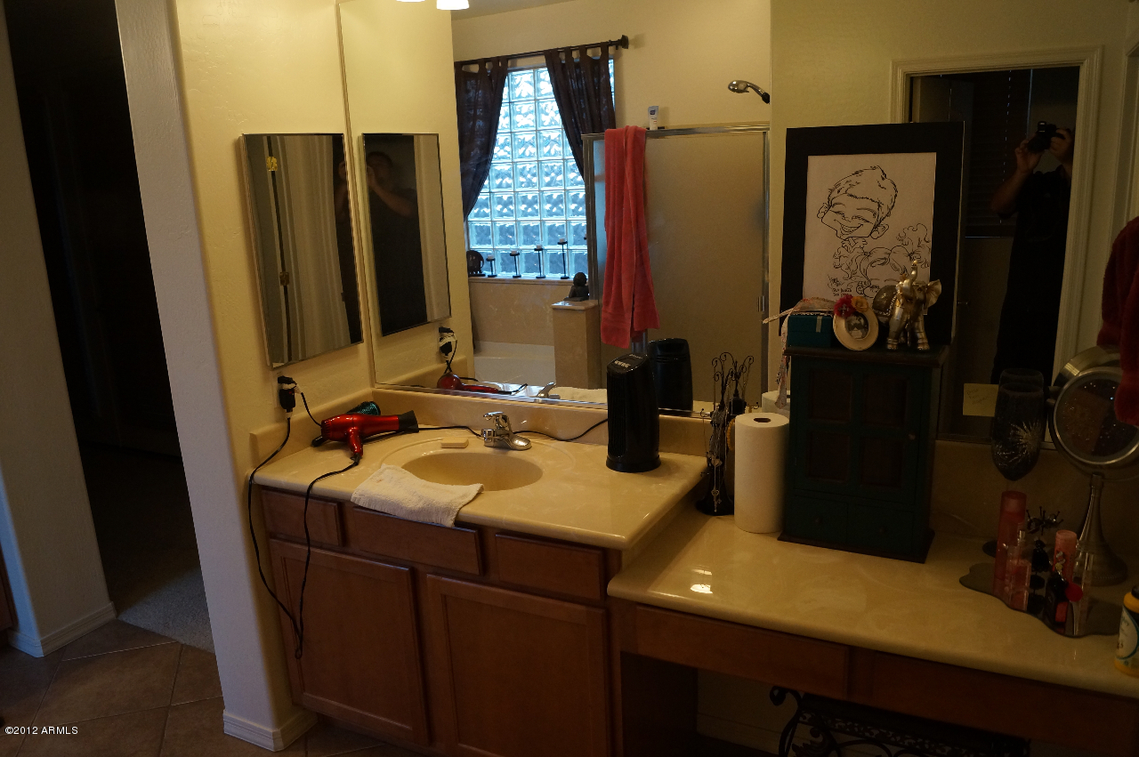 15239 West Redfield Road Surprise, AZ 85379 - Photo 17 of 20 DSC00530