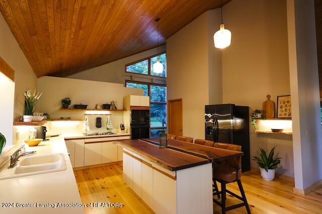 3351 Wardell Road Lansing, MI 48917 - Photo 43 of 75 052A0451
