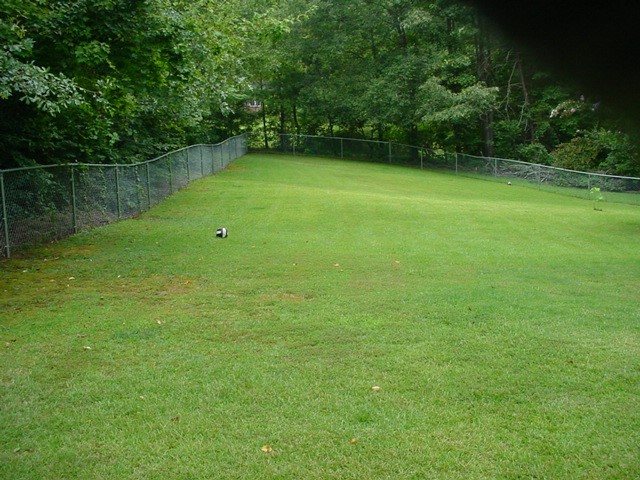 205 Timberline Ridge Walhalla, SC 29691 - Photo 5 of 28 Gallery Image 5