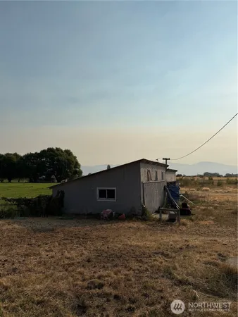 a view of three trees