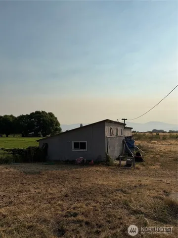a view of three trees