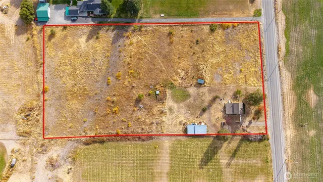 a view of yard with tree