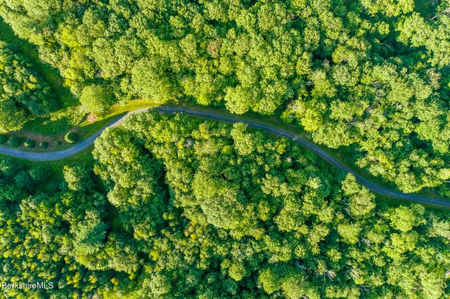 a view of flowers in yard