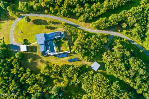a view of a bunch of trees