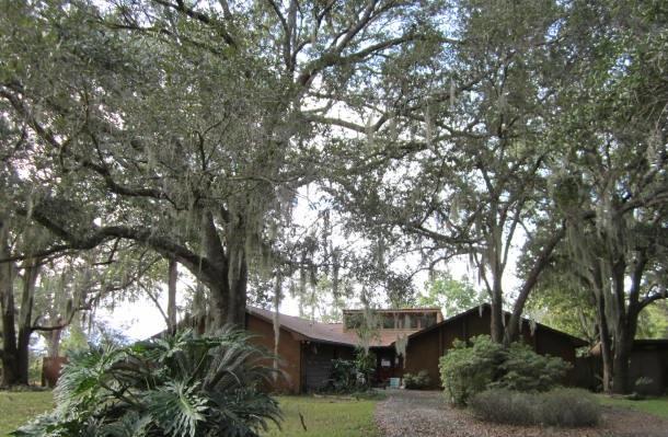 1456 Bay Grove Road Freeport, FL 32439 - Photo 1 of 9 a view of a plants and trees in a backyard