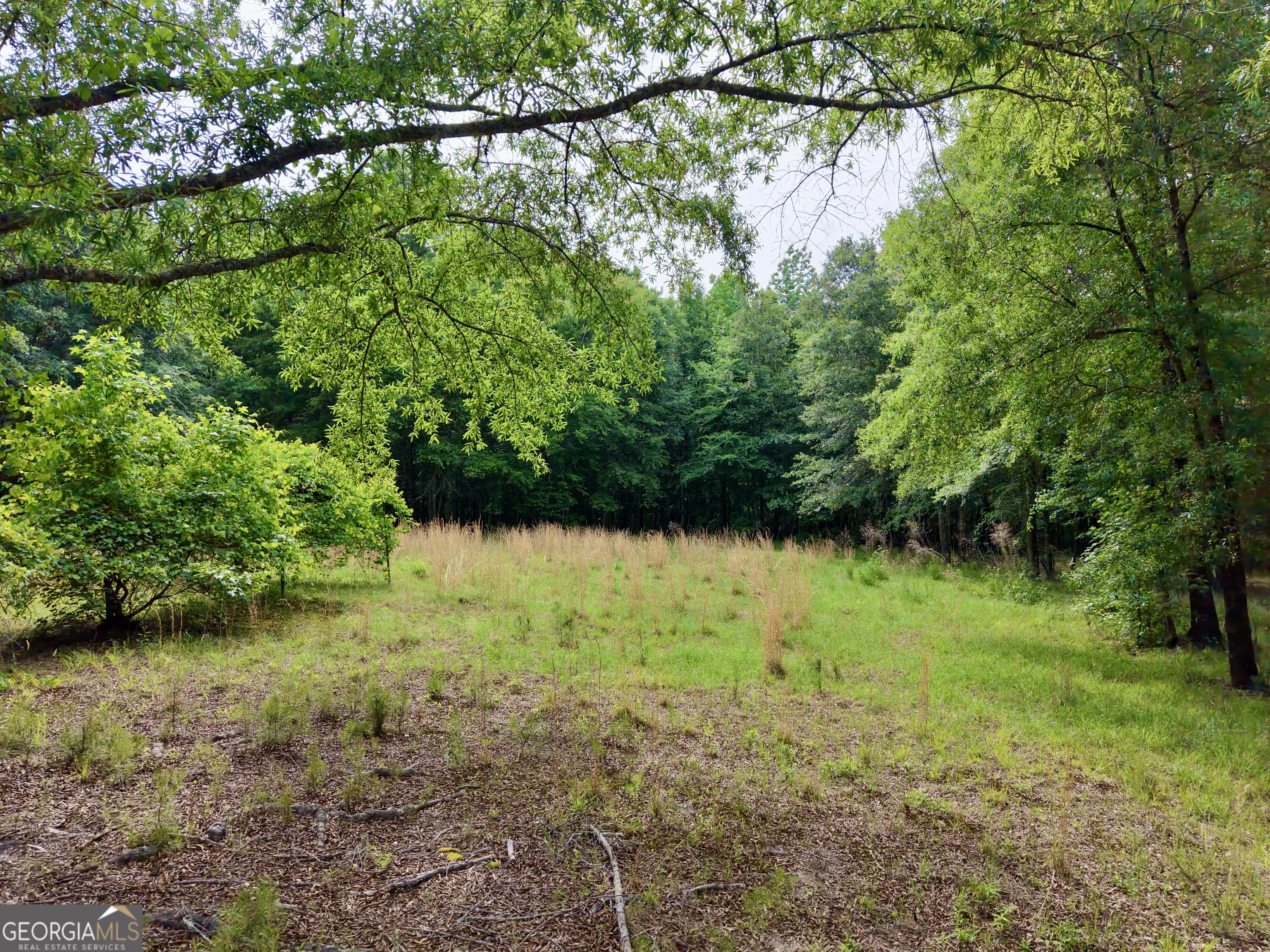 715 Fulsome Creek Road Sparta, GA 31087 - Photo 21 of 117