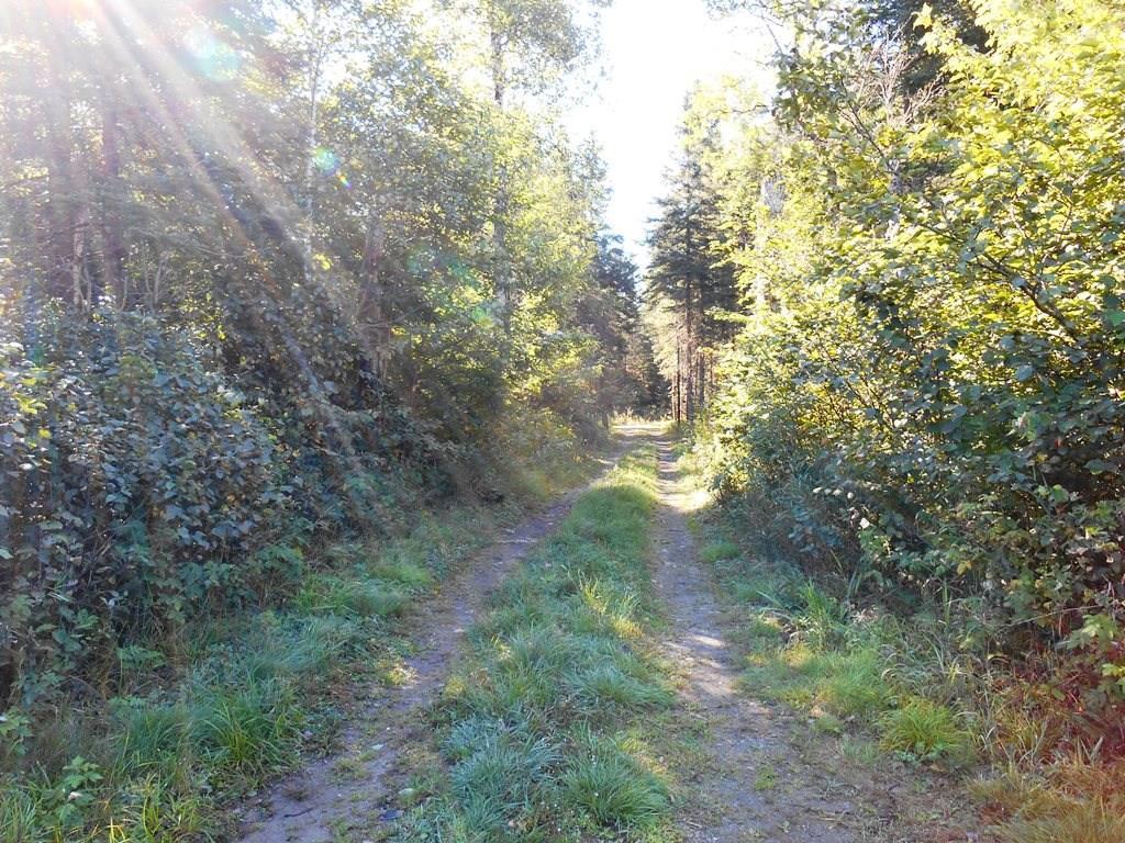 Map R-5-lo Map R-5-lo Tim Pond Road Eustis, ME 04936 - Photo 3 of 14 Photo
